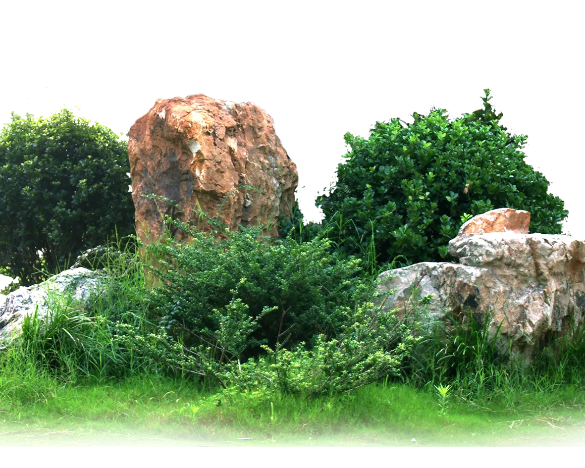 Garden Landscape architecture, rock, landscape, stone, grass png free download